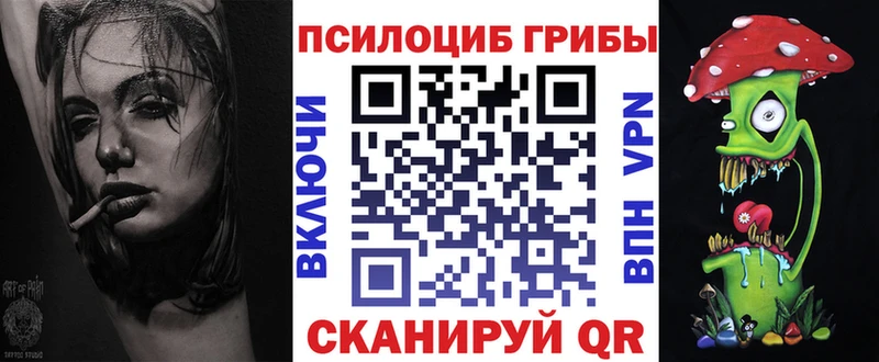 купить  сайты  Сатка  Псилоцибиновые грибы Psilocybe 